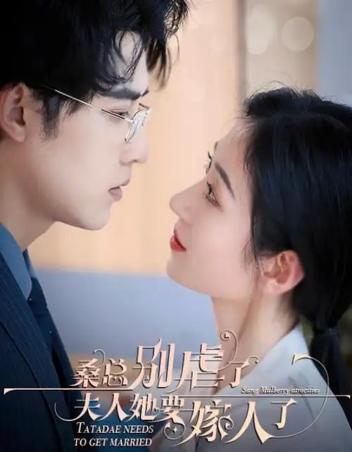 长夜书热播电视剧全集免费在线观看